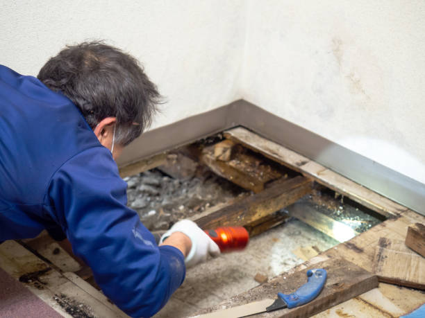 Best Mold Cleaning Services  in Millersville, PA