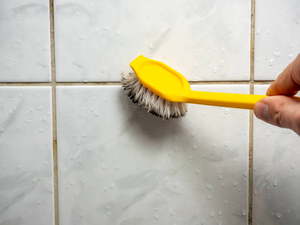 Best Toxic Mold Removal  in Millersville, PA
