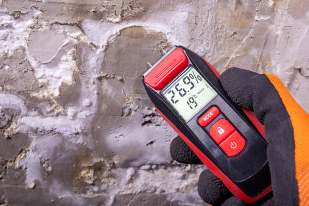 Home Mold Removal in Millersville, PA