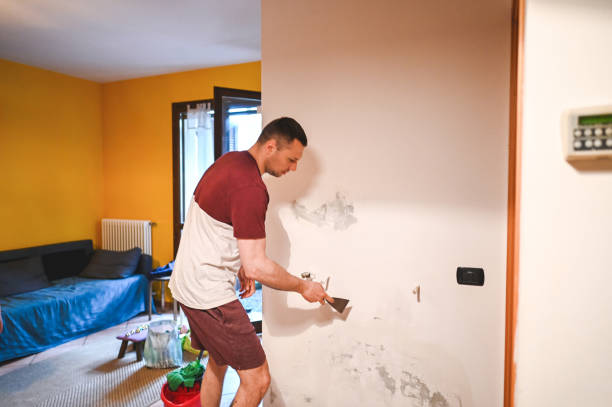 Best Certified Mold Removal  in Millersville, PA